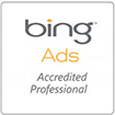 bing-adwords-services